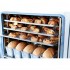 Печь конвекционная ABAT (АБАТ) КЭП-6П 11000026896 Печь конвекционная ABAT (АБАТ) КЭП-6П 11000026896